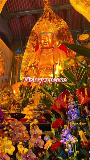 Embrace Peace with Buddha's Blessings