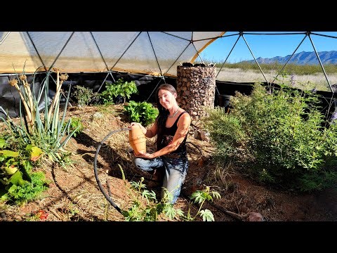 Using Clay Pots For A Gravity Fed Irrigation System (Full Installation)
