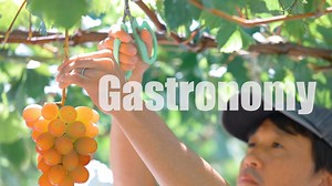 3.4K views · 28 reactions |  Yamanashi Prefecture: Surrounded by Mt....