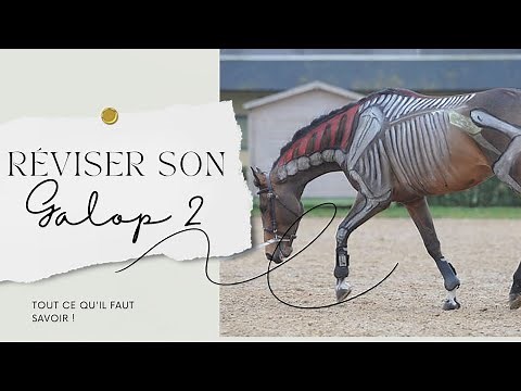 LA THÉORIE DU GALOP 2 📖 Tout ce que tu dois connaître !