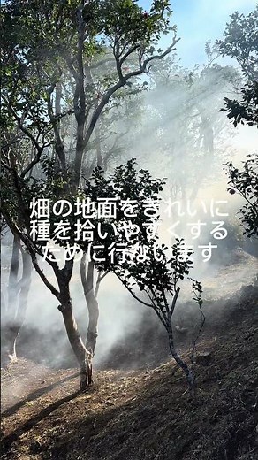 利島より〜 #伊豆諸島 キッパライ〜