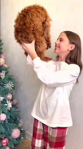 МІй новий мерч MLN brand #shorts My little Nastya