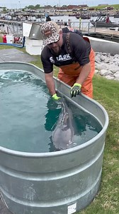 Monster Catfish! SeaArk Owners Invitational Tournament! Decatur, Alabama #seaarkboats #catfish #bait #fishingtime #fishinglife #fish #fishing | TWS Podcast