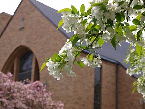 Livestream - Heritage Reformed Congregation of Grand Rapids