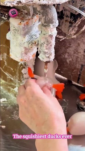 The Strangest Ducks Ever — Incredibly Soft, Squishy, and So Satisfying! 🦆✨