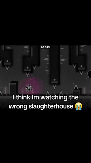 Understanding the City Boy Slaughterhouse Meme