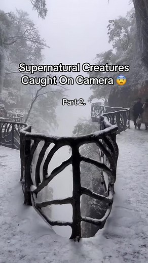 Horrifying on TikTok