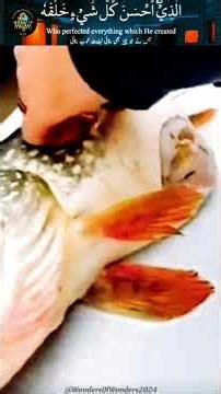 ✨🐠✨‼️Dead Fish to Living Wonder; Nature's Miracle‼️✨🐠✨