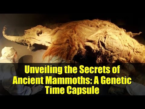 Unveiling the Secrets of Ancient Mammoths: A Genetic Time Capsule