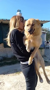 2.3K views · 175 reactions | BLANCO ADOTTATO...