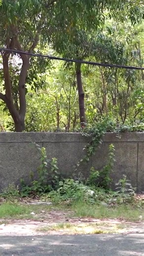 USA Clips (@usaclips95)’s videos with original sound - USA Clips