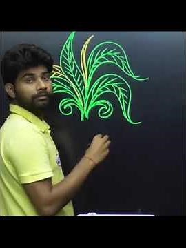 Aniruddh Rojgar With Ankit
