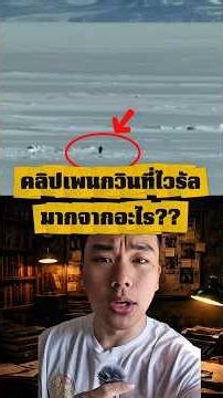 Why would a penguin walk away from the flock?? 😱