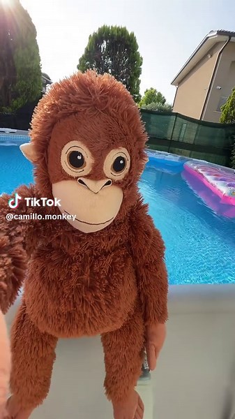 Ikea Monkeys Enjoying Fun in the Pool