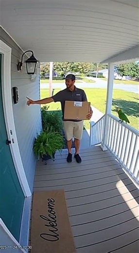🦜 The Talking Parcel: Delivery Driver Gets Chirpy Greeting