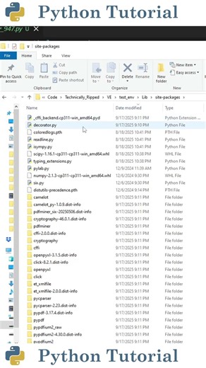 How to Avoid Version Conflicts in Python