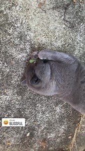 69 reactions · 13 comments | How to nip responsibly checklist 1. Know...