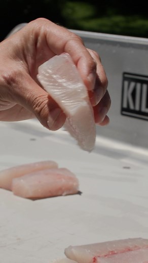 206K views · 1.8K reactions | The Best Sushi Mackerel cut on the best fish cleaning station KillerDock  | Reed_thefishmonger | Facebook