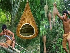 1M views · 9.4K reactions | survival in the rainforest Building Bird Nest #Amazing #reelsvideo #food #cooking #love #happy | Survival Life | Facebook