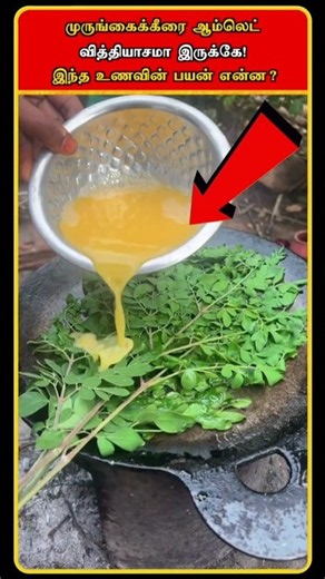 Moringa Leaf Omelette | Omelete with Green Leaves | Murungai Keerai Omelette | Omelette | #shorts