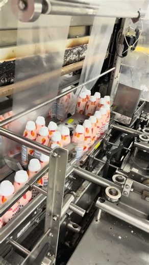 BID ON EQUIPMENT Item 441403 POLYPACK Dual Lane Bundler Video 1