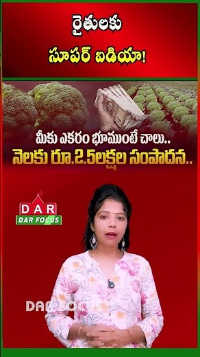 Earn Up to ₹1 Lakh Per Month from One Acre with Organic Bed Farming | Latest updates | DAR FOCUS