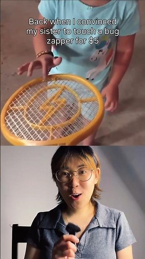 Zap! The Physics of a Fly Zapper Explained