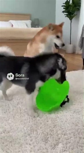 Alien Prank Pup／外星人恶作剧小狗／エイリアンいたずらワンコ