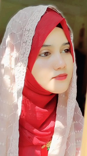 Rajiya Risha YouTube Channel Highlights