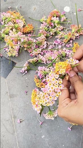 How to Make a Beautiful Flower Crown | Easy DIY Tutorial with Fresh Flowers#art#ytshorts#viral#short