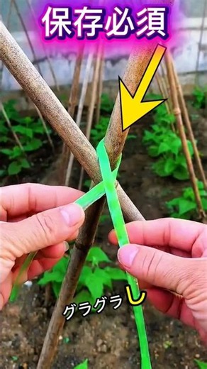 Essential for Home Gardening! A Knot Technique to Secure Stakes Rock-Solid in Seconds