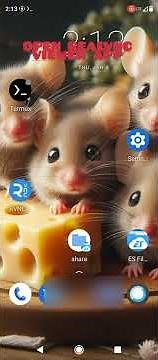 How to configure VNC app for Andronix Linux on android
