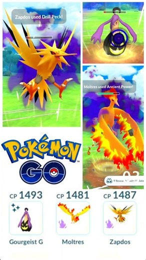 Shiny Gourguiest 💖 Shadow Moltres 🔥 Shadow Zapdos ⚡ || ‪@pokemongo‬ #pvpteam #pvpteam