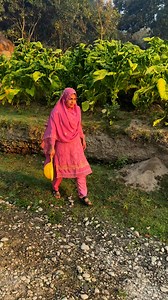 424K views · 6.3K reactions | এতোগুলো বক্স আনলাম! এগুলো ও কয়েকদিন পর খুজে পাবো না! #fbreelsfypシ゚viralfbreelsfypシ゚viral #reelsvideoシ #reelsviralシ #fbreelsfypシ゚viral #virulreelsvideo #jk_kakoli_vlog #reelsfypシ #virulreels #মা_মেয়ে #vlog | JK Kakoli Vlog | Facebook