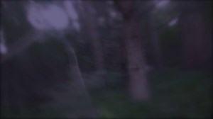 81K views · 1.9K reactions | This is footage of what happened when I was on the last leg of the Aerosmith tour in Saskatchewan. | Joe Perry | Facebook