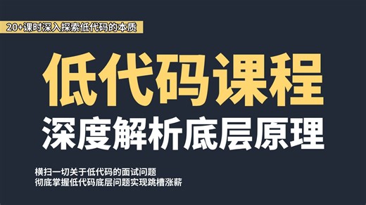 B站最新：低代码全套教程，20小时深入探索低代码的本质，彻底掌握低代码实战项目问题轻松实现跳槽涨薪！