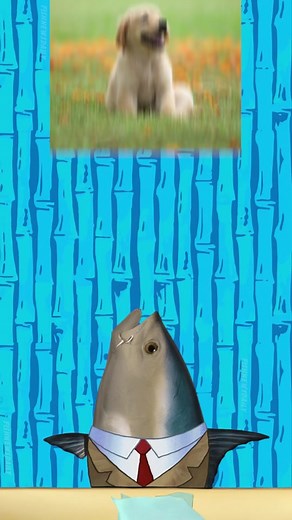 Dogs Can Now Live Over 20 Year's Old🚨 #breaking #news #dogs