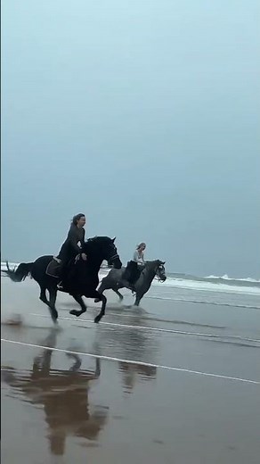 Freedom Ride on the Beach 🐎🌊 | Epic Horse Run