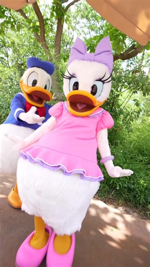 913 reactions · 4 comments | Experience the magic with your family ✨ | Disneyland Paris | Facebook