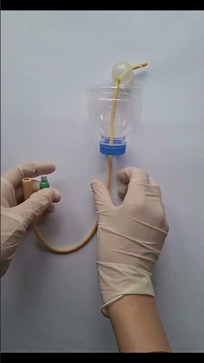 Foley Catheterization Procedure | Urinary Catheter Insertion Step by Step | Nursing Skills #foley