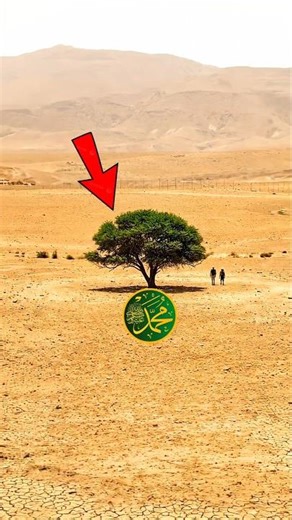 Jorden me Ye Akela Tree Kaise Khada Hai? 😳