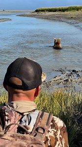 2.3M views · 40K reactions | Young female brown bear looking for fish - she’s been struggling to catch them efficiently but still manages to get one every now and then! #alaska #brownbear #wildlifephotography #fyp #foryou #explorepage #fishinglife #fishingaddict #natgeowild #NationalParks #closeencounters #salmonfishing #animallover #cuteanimals | Arthur Lefo Wildlife | Facebook