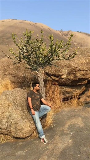 Savandurga Trek near Bangalore is one of the most exciting adventures you can do with friends.