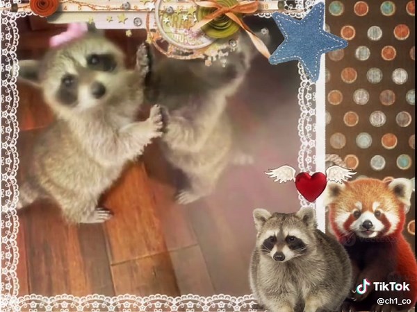 Red Pandas and Raccoons: A Charming Animal Comparison