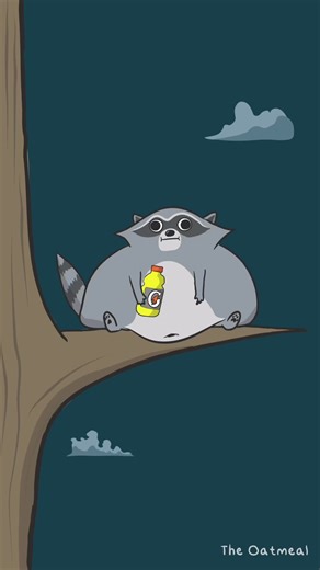 This raccoon understands what it means to procrastinate. #cartoon #procrastinating #funny | The Oatmeal