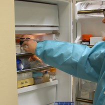 Video: Single-throughput Complementary High-resolution Analytical Techniques for Characterizing Complex Natural Organic Matter Mixtures