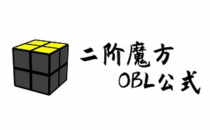 【二阶】同时完成上下面，二阶魔方SS法OBL公式(7p)