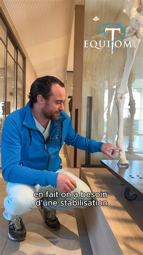 Explanation 🎥 🇫🇷🇬🇧 (01:08) 🇳🇱 (02:31) 🇫🇷 Dans l’un de nos précédents posts, nous vous avons posé la question : sauriez-vous reconnaître la technique utilisée par nos chirurgiens pour aider ce cheval ? Voici la réponse, et surtout l’histoire qui se cache derrière. Ce cheval de deux ans a été référé à Equitom avec une fracture persistante de l’os du paturon. Comme la fracture ne consolidait pas, une intervention supplémentaire est devenue nécessaire. Afin de lui offrir les meilleures chan