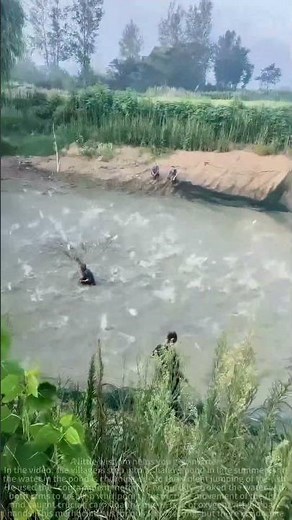 Catching fish with bare hands in the lower pond: traditional techniques