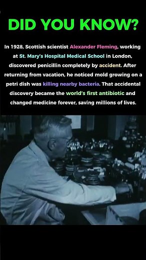 A forgotten petri dish changed medicine forever...